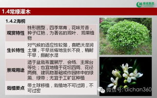 綠城集團園林軟景苗木圖譜 全套