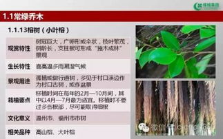 綠城集團園林軟景苗木圖譜,非常全面,值得借鑒 收藏