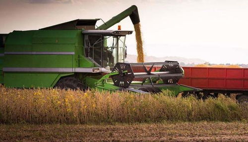 我國稻谷與小麥產量的統計方法解析